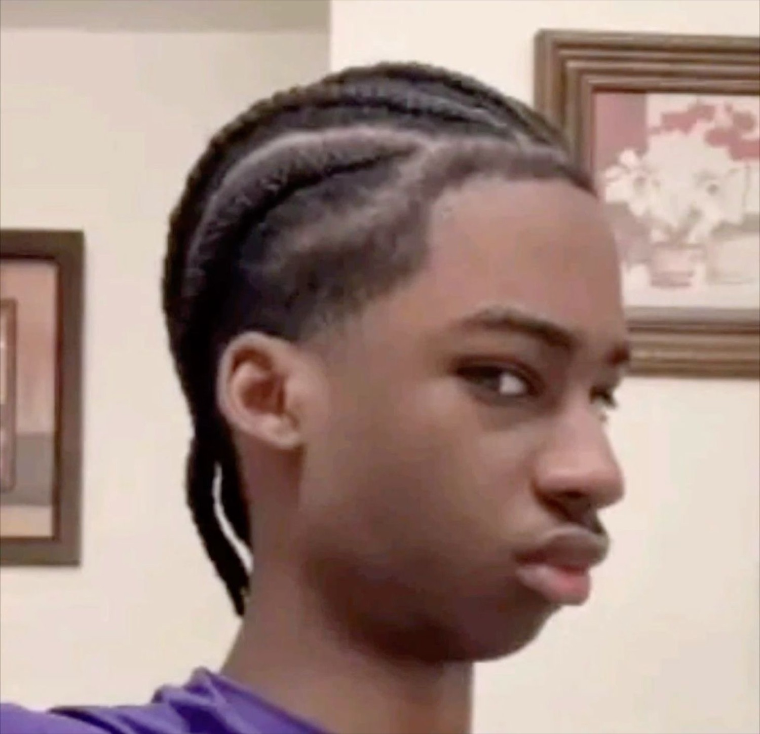 Teen with braids cutting a slow, unimpressed side-eye at the camera