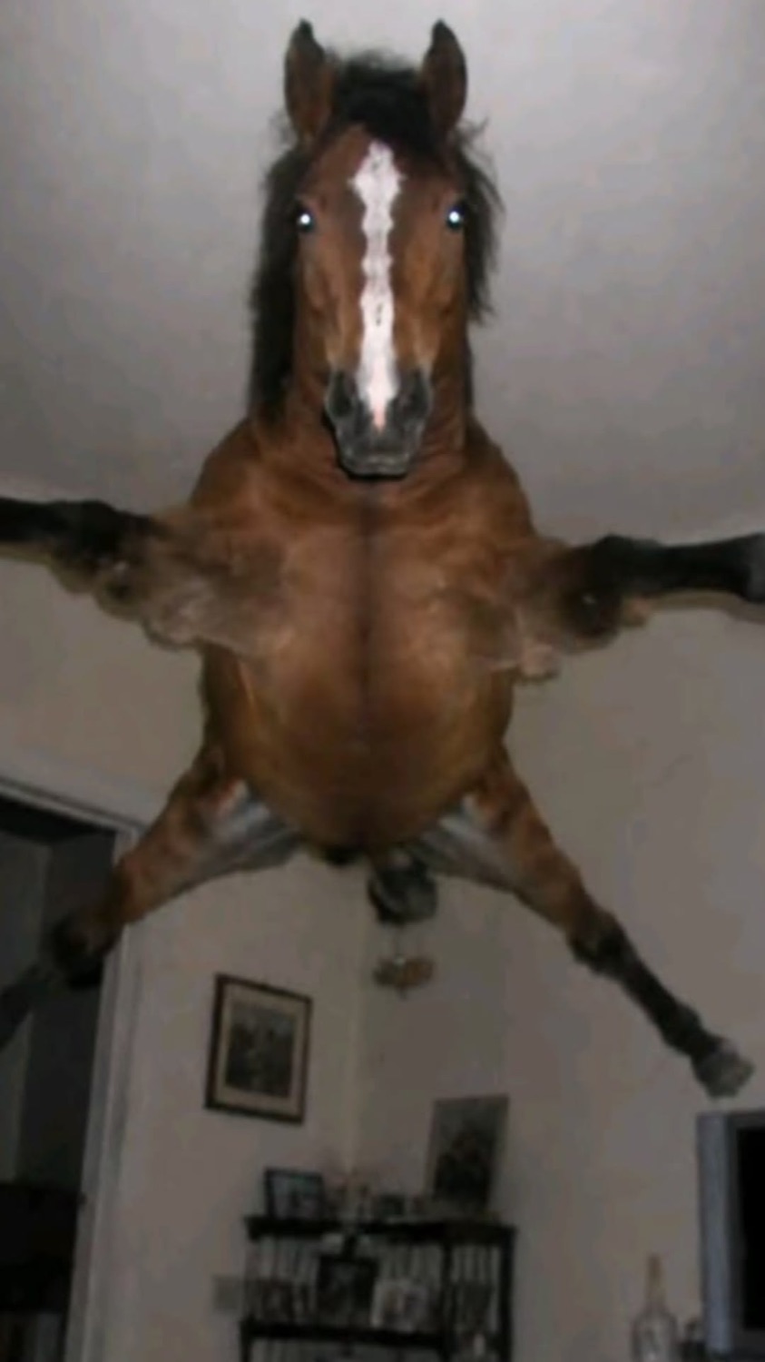 Horse mid-leap in a living room with all four legs flung out sideways