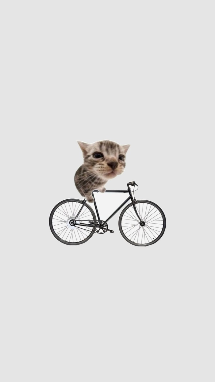 Tiny cat cutout riding a bicycle on a blank background