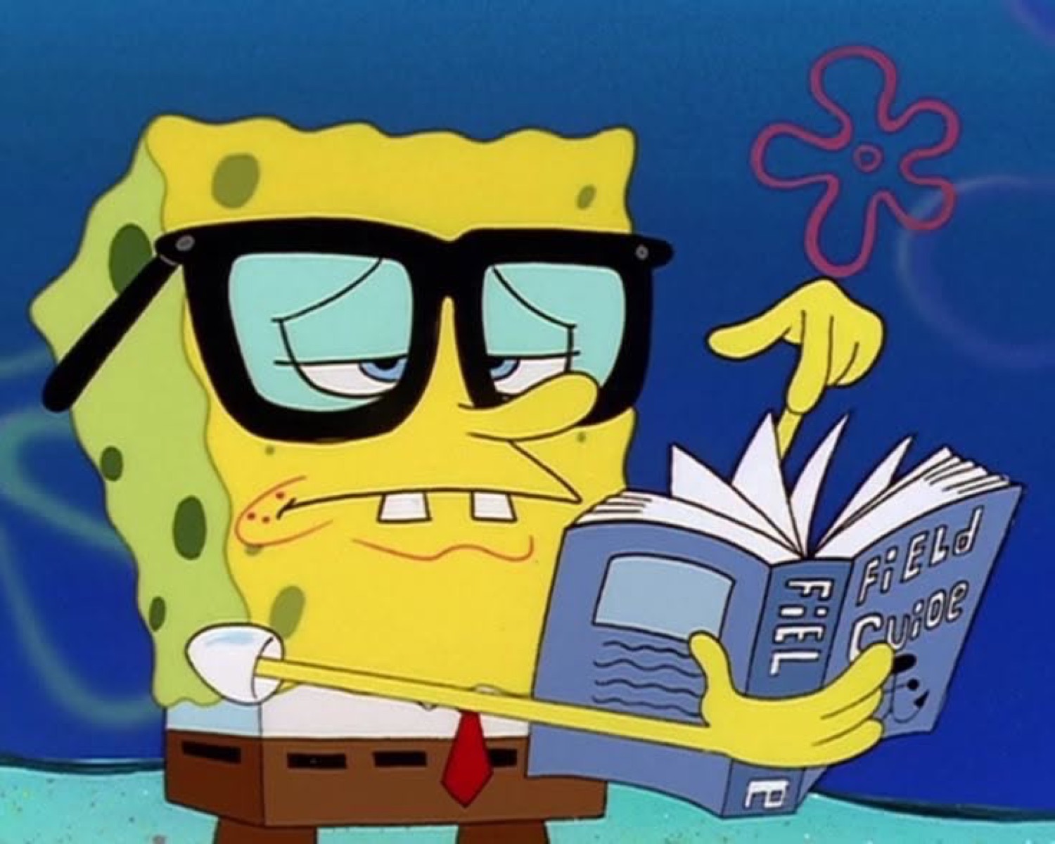 SpongeBob in oversized nerd glasses reading a Field Guide with a deeply skeptical squint