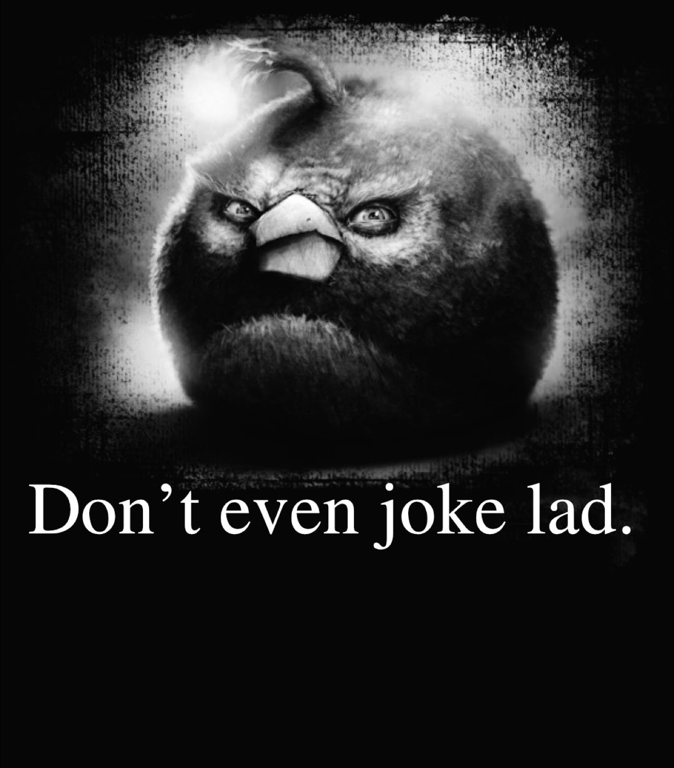 Menacing dark portrait of a scowling Angry Birds bird captioned 'Don't even joke lad.'