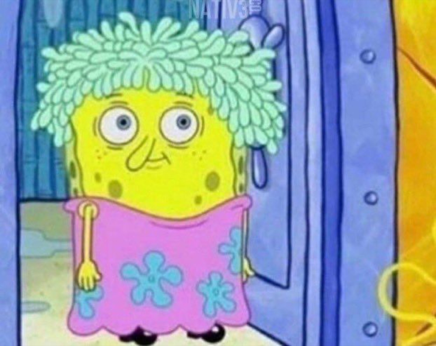 SpongeBob in a pink dress and wild wet hair looking bewildered and frumpy