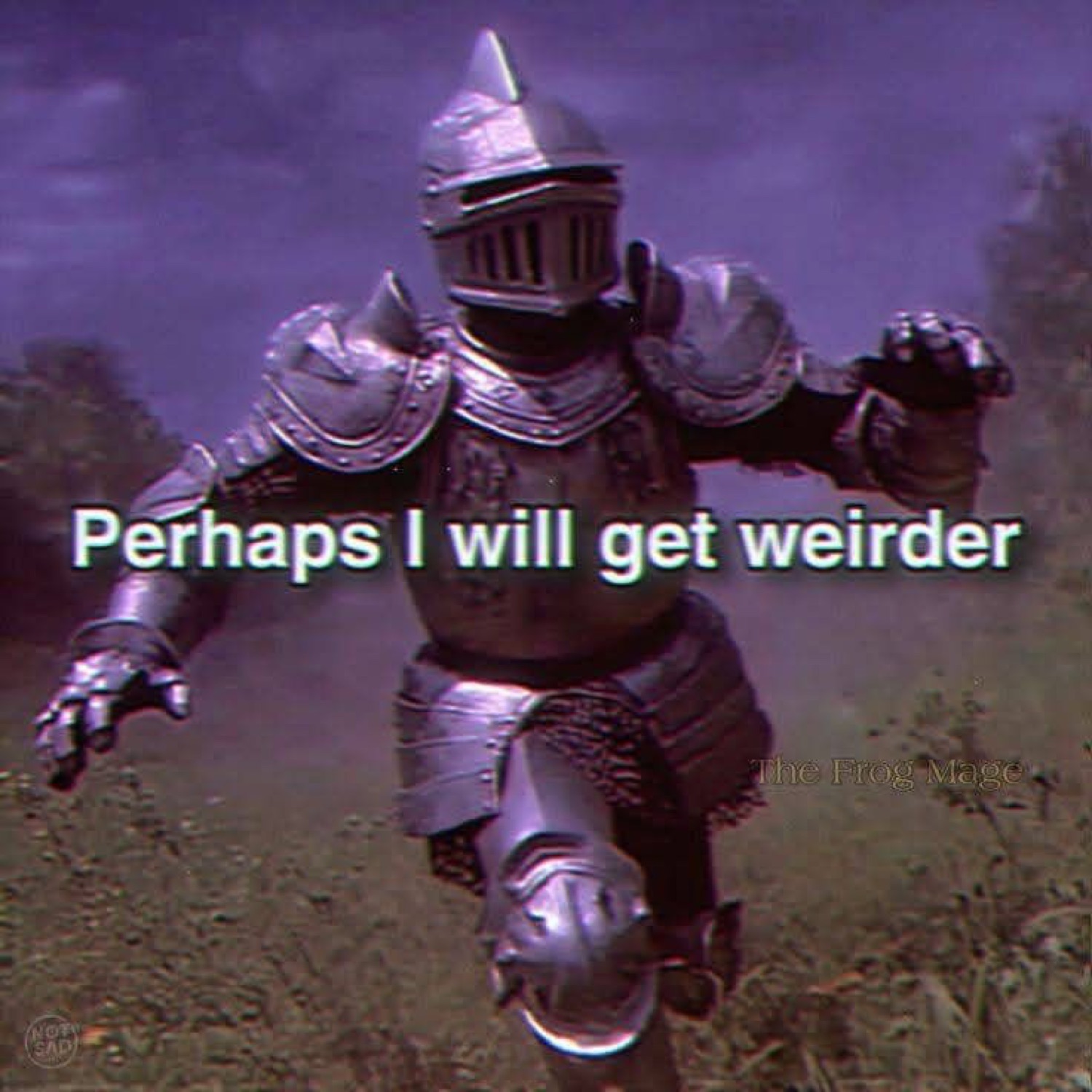 Knight sprinting through a dark field: 'Perhaps I will get weirder'
