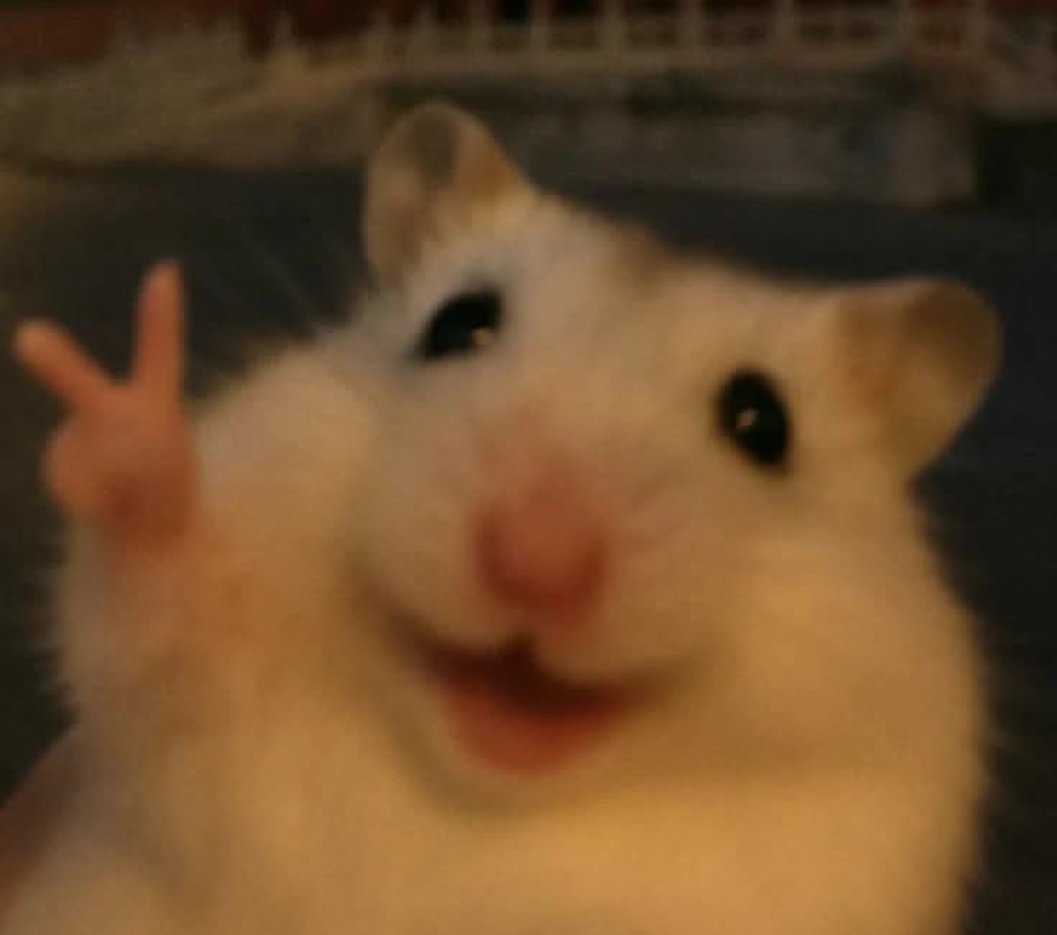 Fluffy white hamster flashing a peace sign and beaming with a big happy smile