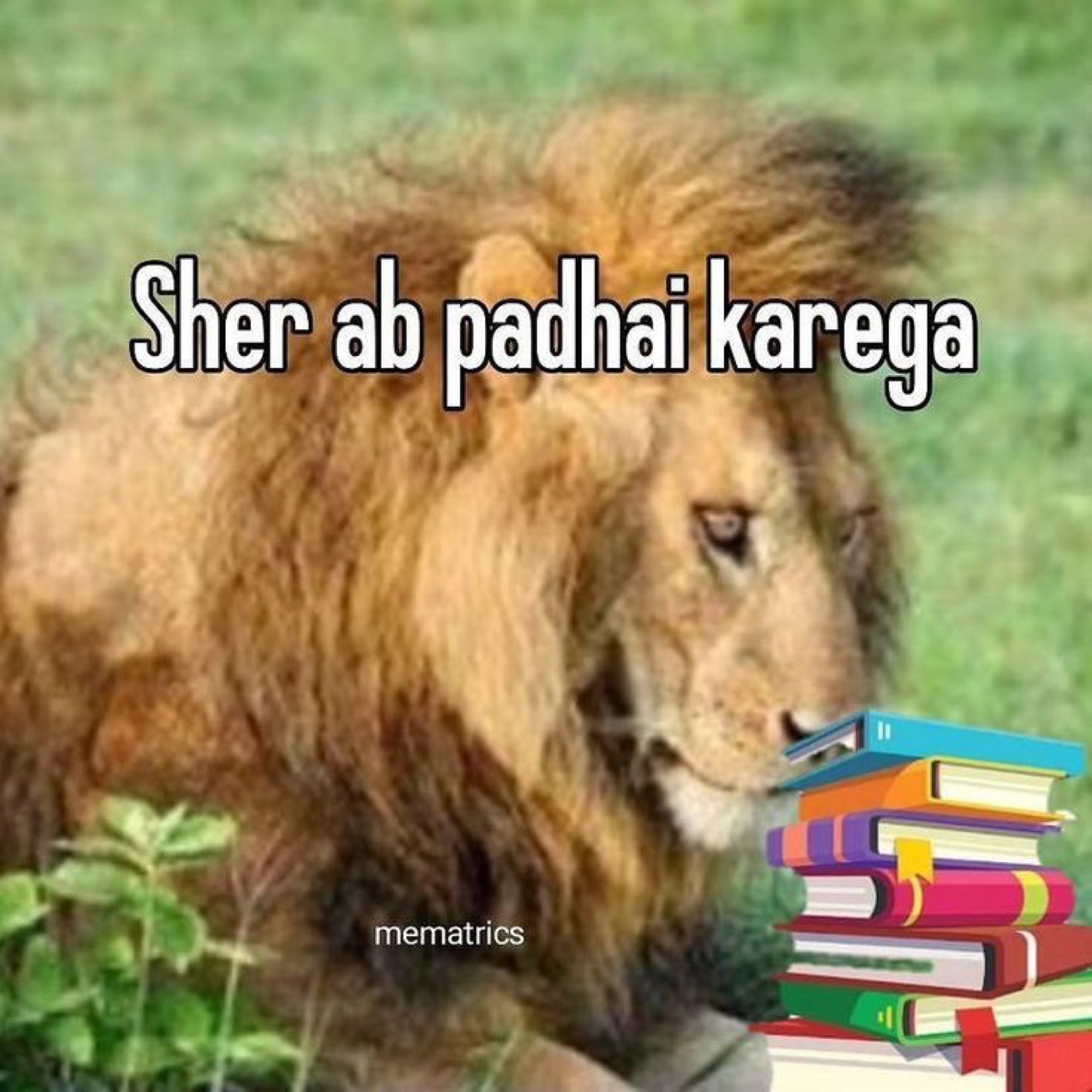 Lion next to a pile of books: 'Sher ab padhai karega' (the lion will study now)