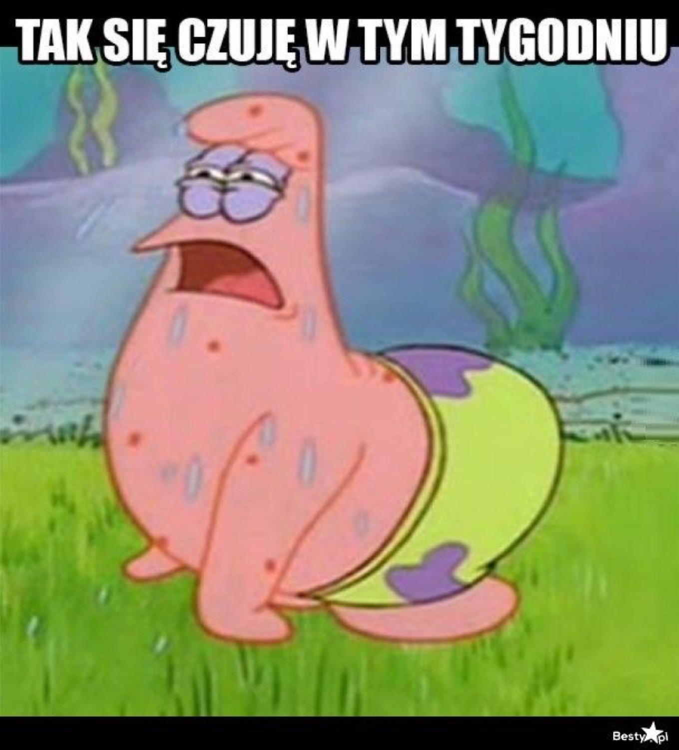 Patrick drooping and sweaty: 'TAK SIĘ CZUJĘ W TYM TYGODNIU' (how I feel this week)