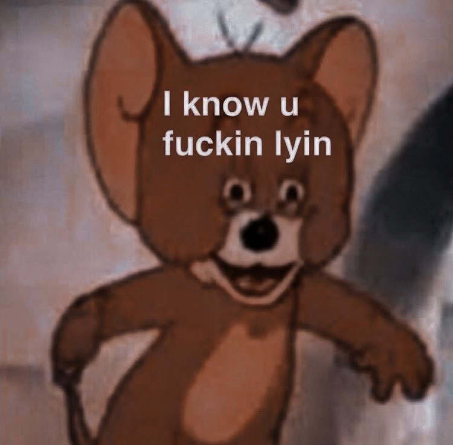 Jerry the mouse grinning: 'I know u fuckin lyin'