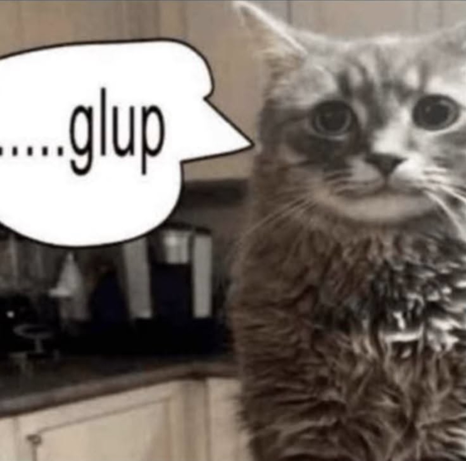Wide-eyed tabby cat with a speech bubble saying '.....glup' in a black-and-white photo