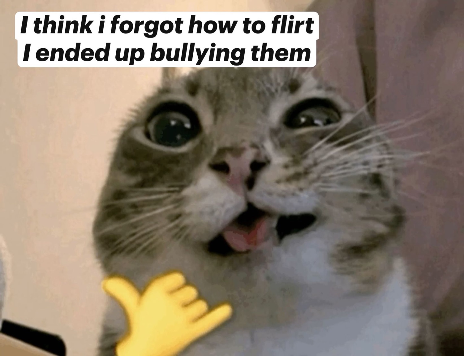 Wide-eyed excited cat with text 'I think i forgot how to flirt I ended up bullying them'
