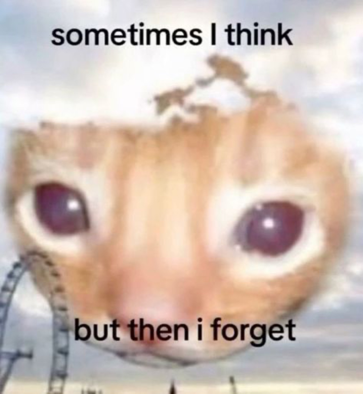Watery-eyed cat face floating in the sky, captioned 'sometimes I think but then i forget'