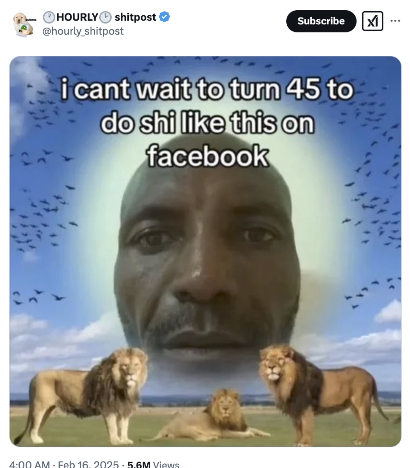 Giant floating head over lions, captioned 'i cant wait to turn 45 to do shi on facebook'