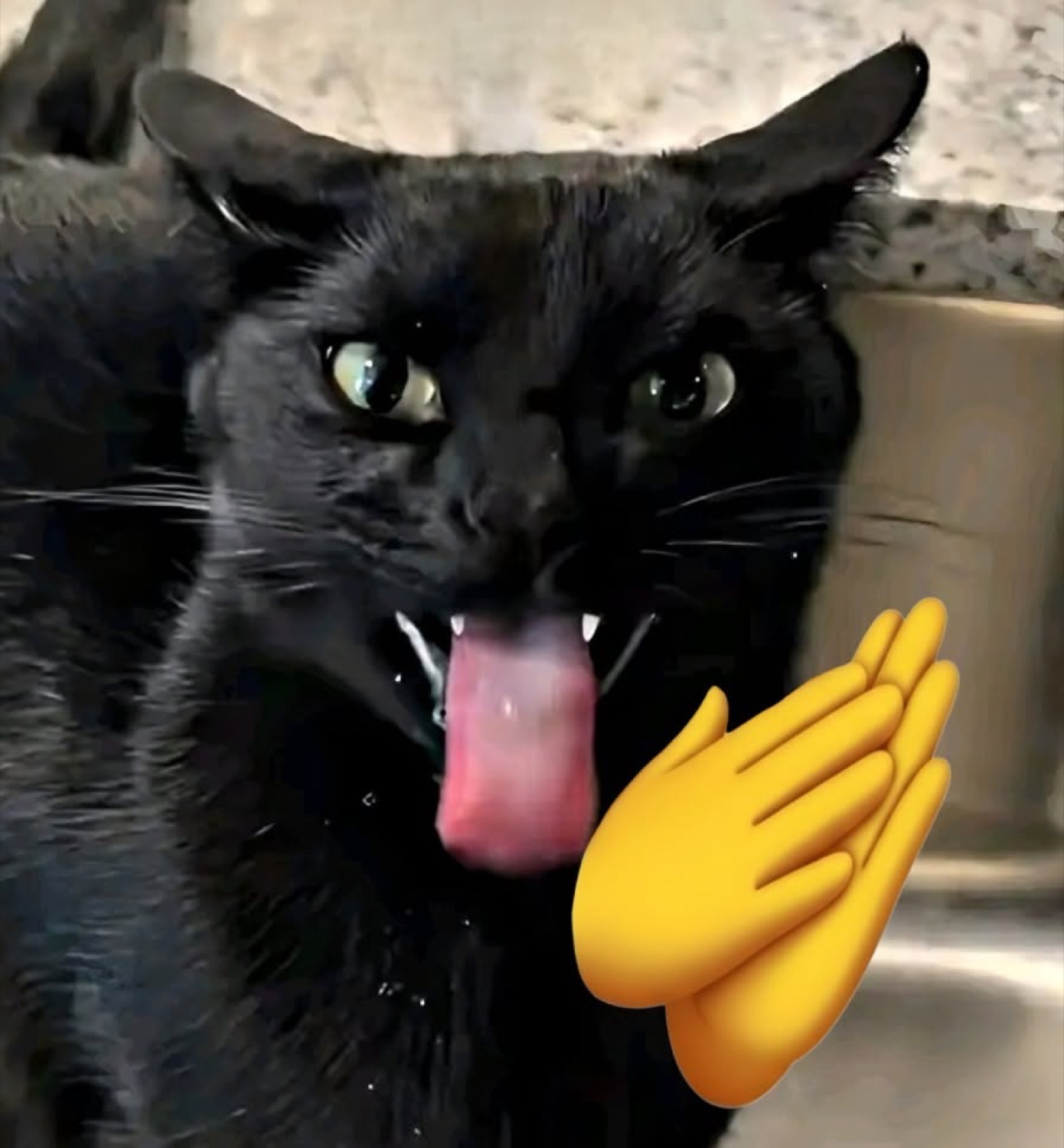 Black cat with tongue out mid-lick, paired with a clapping hands emoji