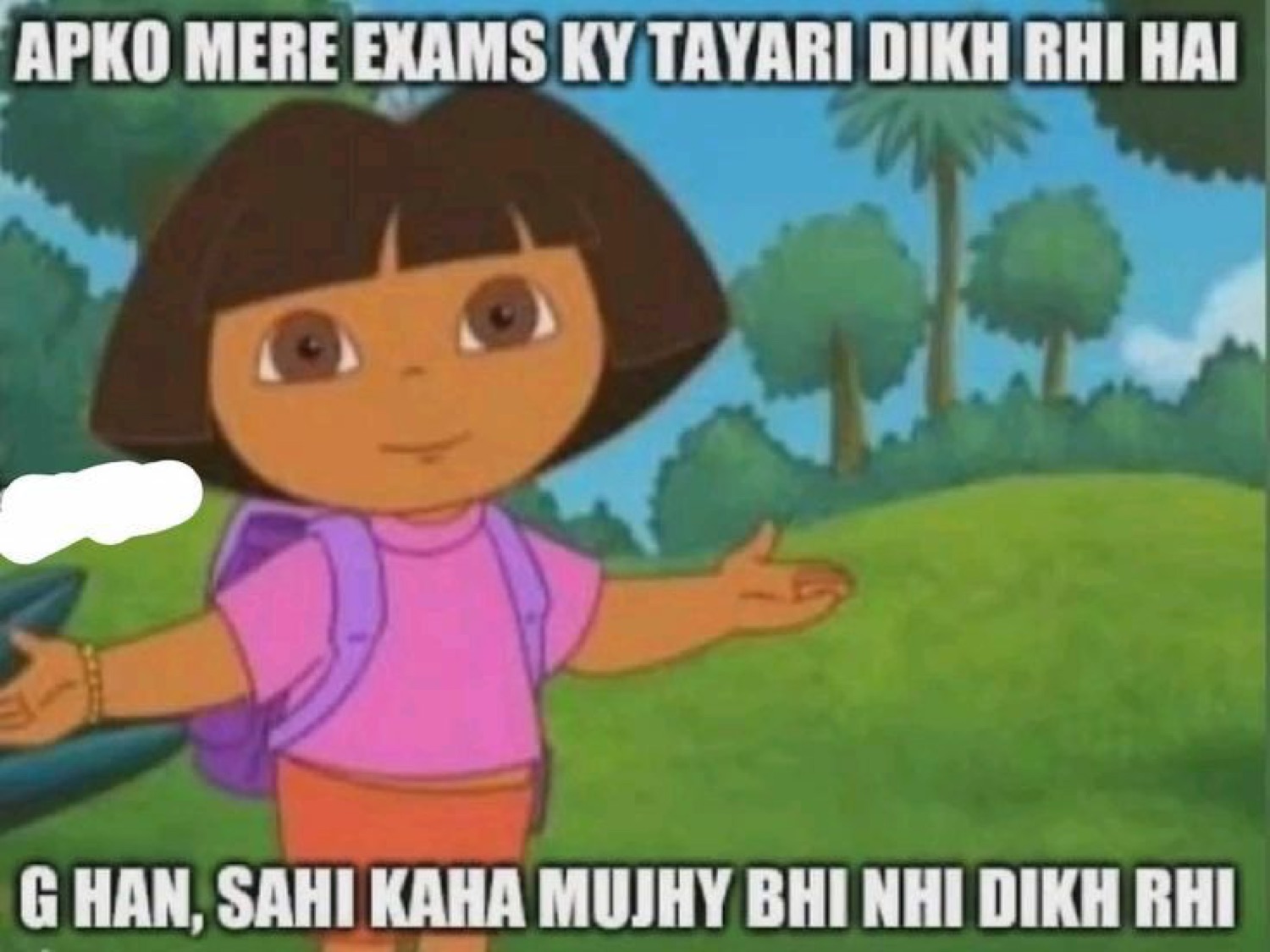 Dora gesturing: 'APKO MERE EXAMS KY TAYARI DIKH RHI HAI / G HAN, SAHI KAHA MUJHY BHI NHI DIKH RHI' (can you see my exam prep? right, me neither)
