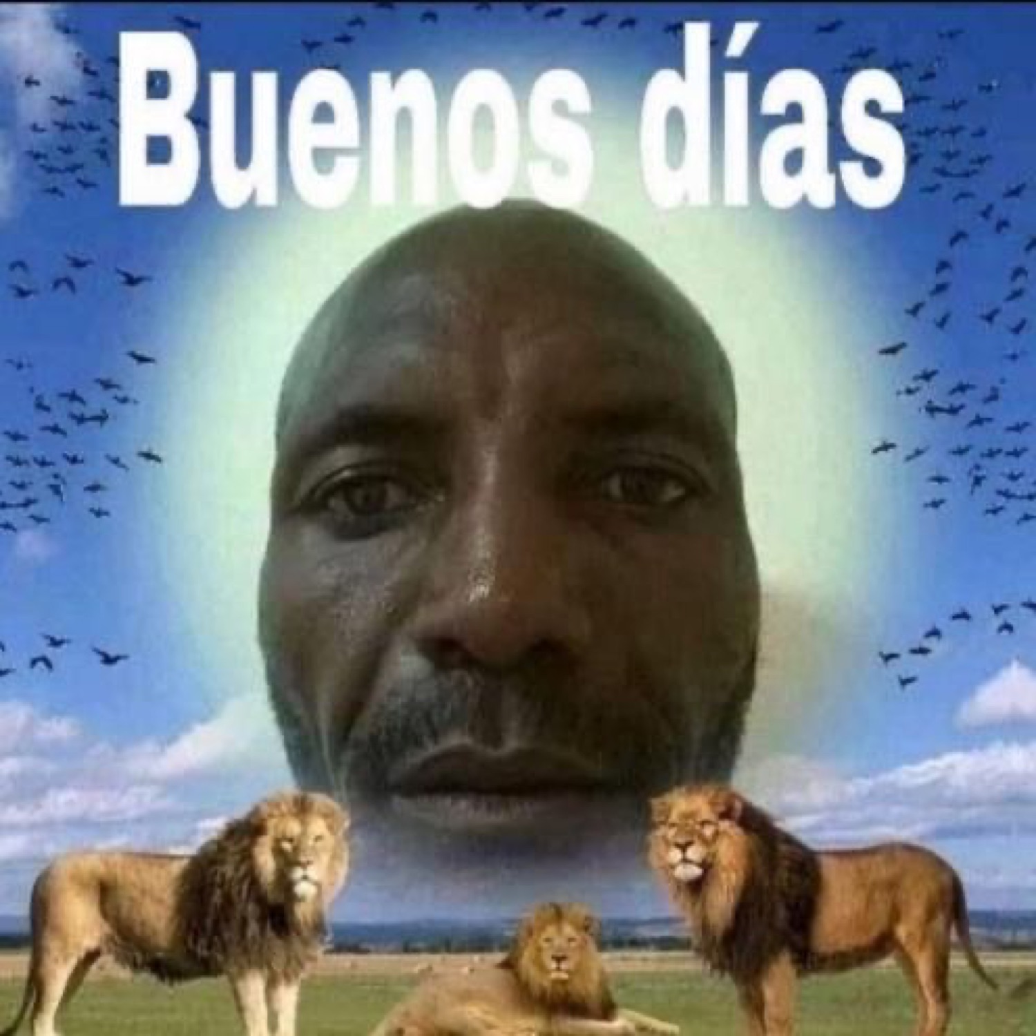 Man's face as a glowing sun over lions: 'Buenos días'