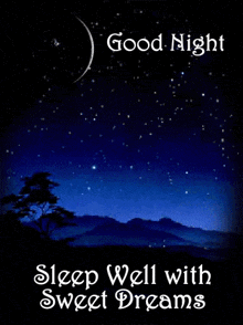 Shooting star over a night sky, "Good night, sleep well with sweet dreams"