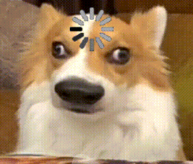 Corgi staring blankly with a loading spinner on its head