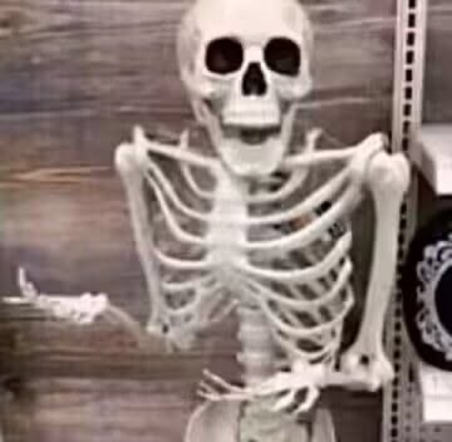 Plastic skeleton in a store looking startled