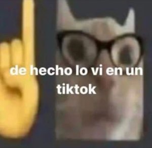 Blurry glasses-wearing cat with a raised finger emoji captioned 'de hecho lo vi en un tiktok'