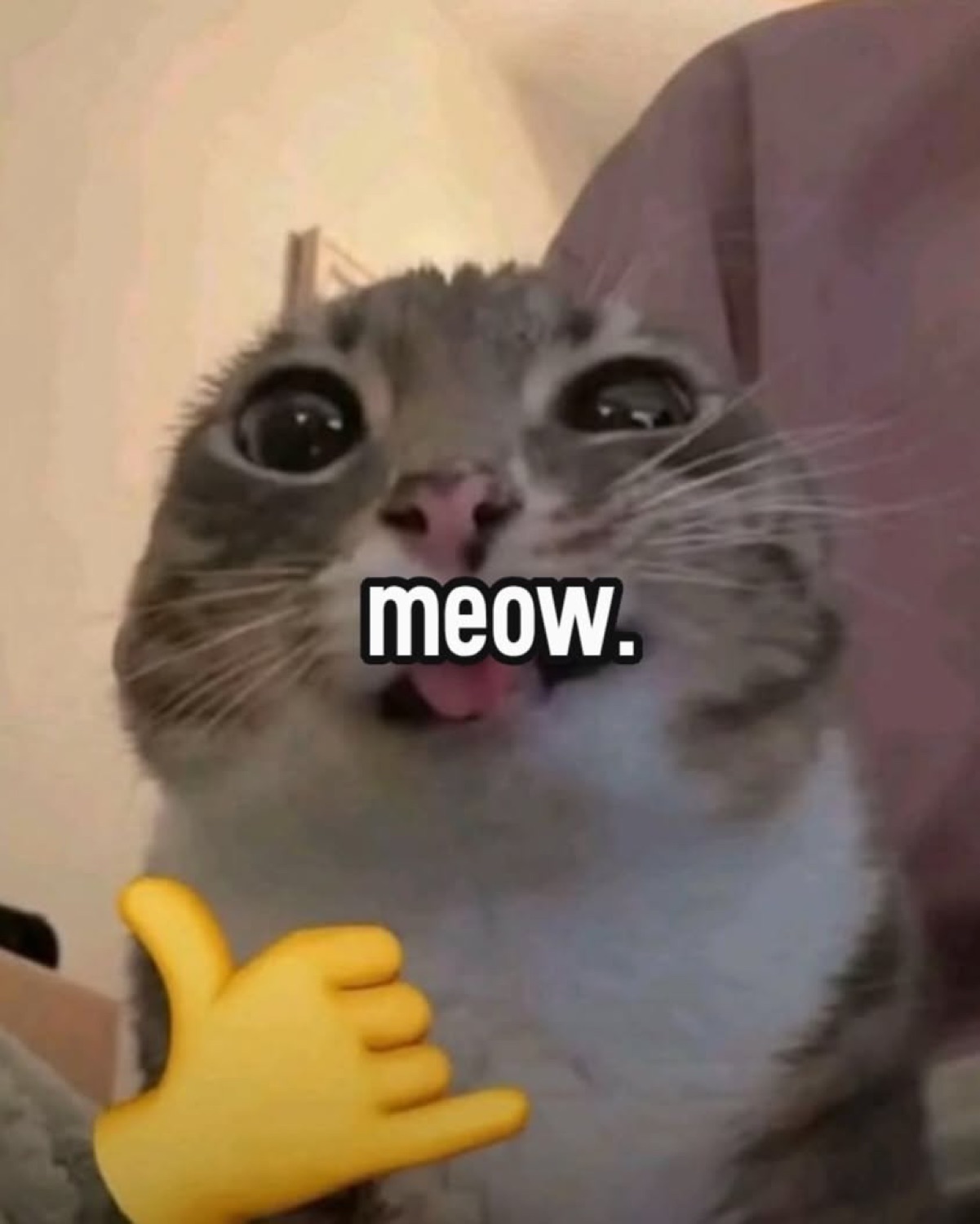 Grinning cat with a shaka hand: 'meow.'