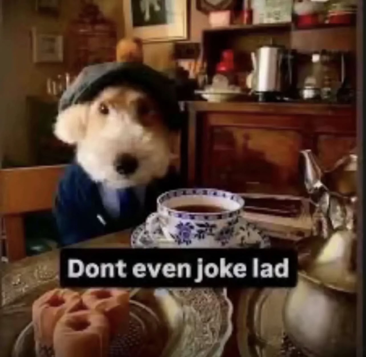 Puppet dog in a flat cap at a tea table, captioned 'Dont even joke lad'