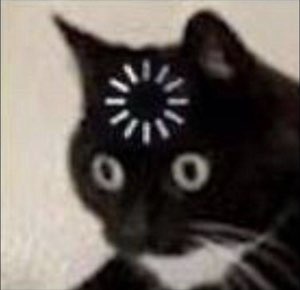 Wide-eyed black cat with a loading spinner over its face, buffering in shock