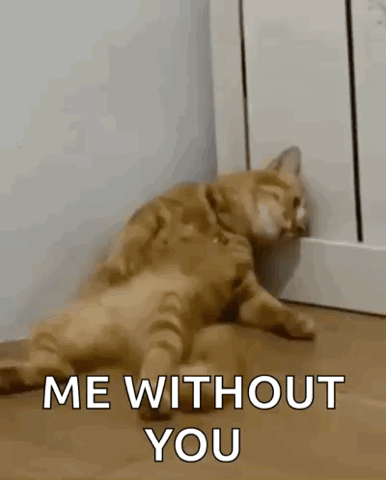 Cat slumped against a door looking sad, "Me without you"