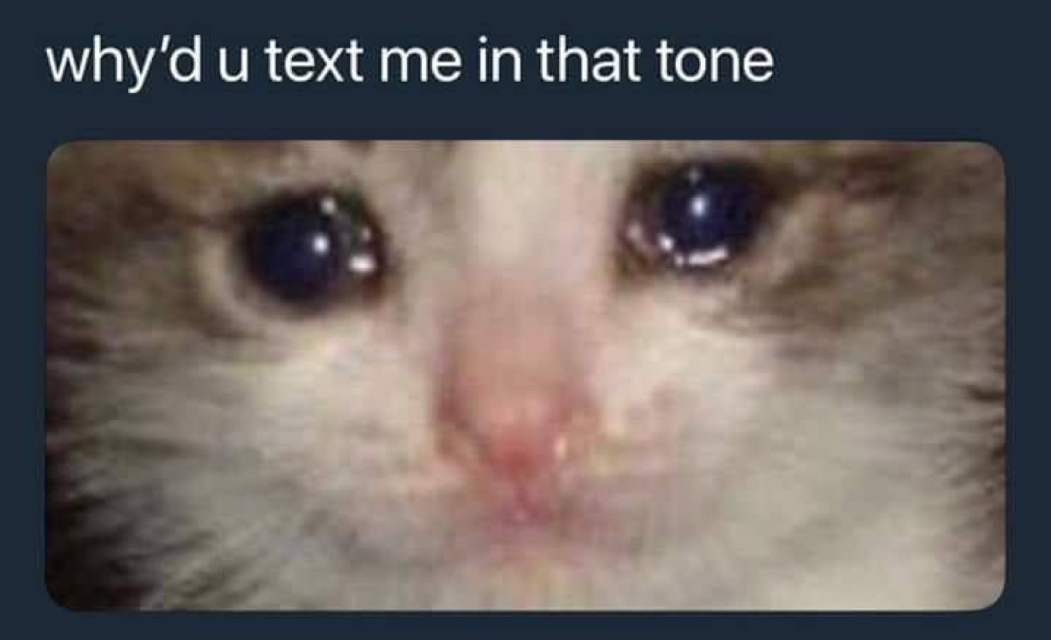 Cat with teary eyes and the caption 'why'd u text me in that tone' — emotionally devastated