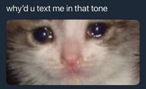 Cat with teary eyes and the caption 'why'd u text me in that tone' — emotionally devastated