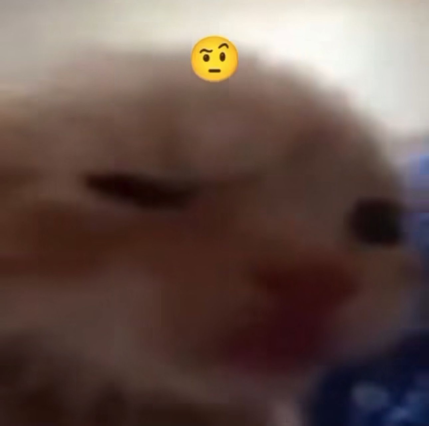 Extremely blurry animal face up close with a skeptical raised-eyebrow emoji floating above