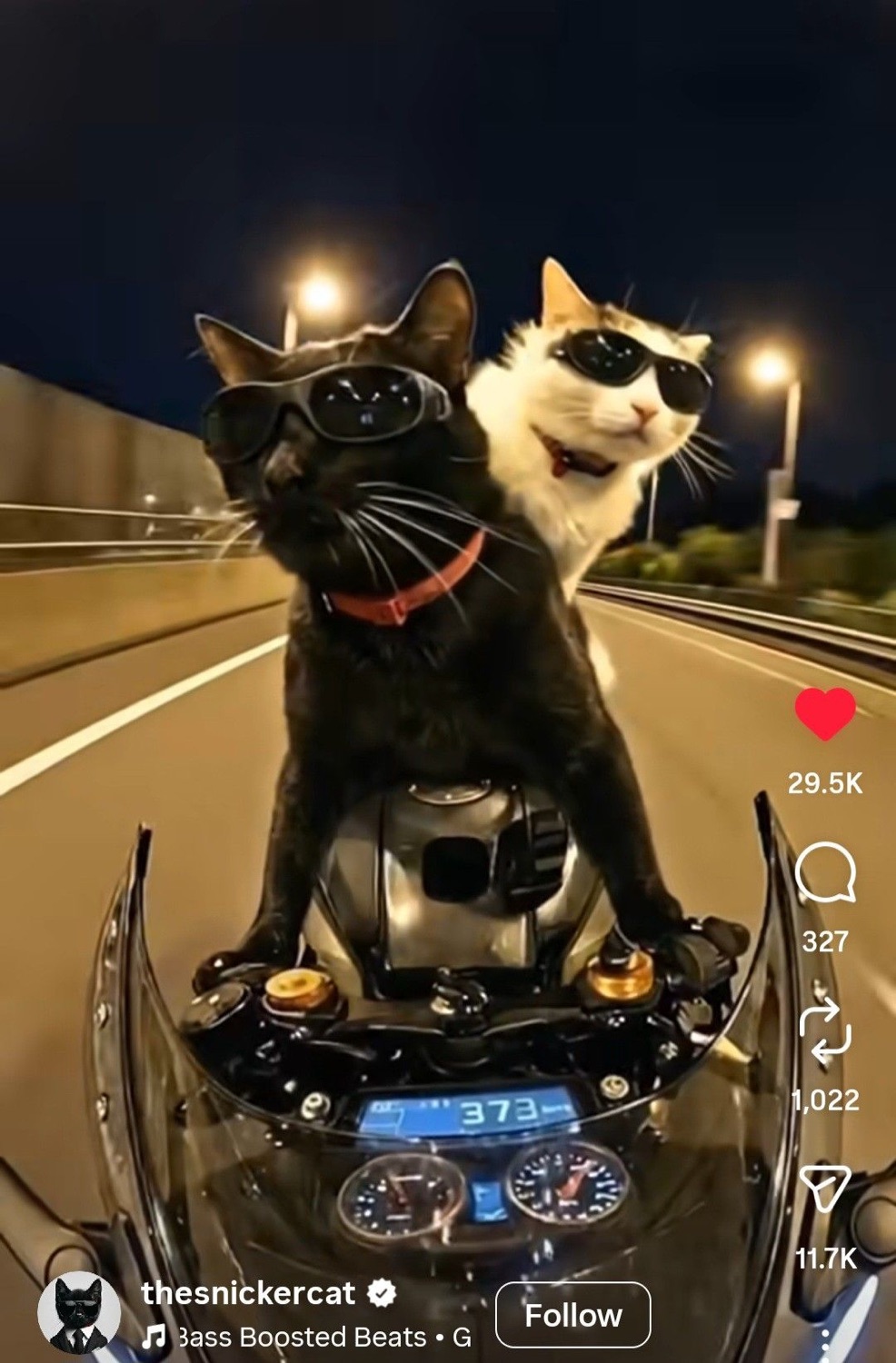Two cats in sunglasses riding a motorcycle at night