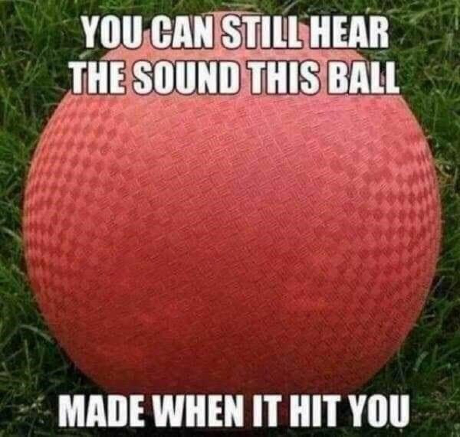 Red rubber playground ball: 'YOU CAN STILL HEAR THE SOUND THIS BALL MADE WHEN IT HIT YOU'