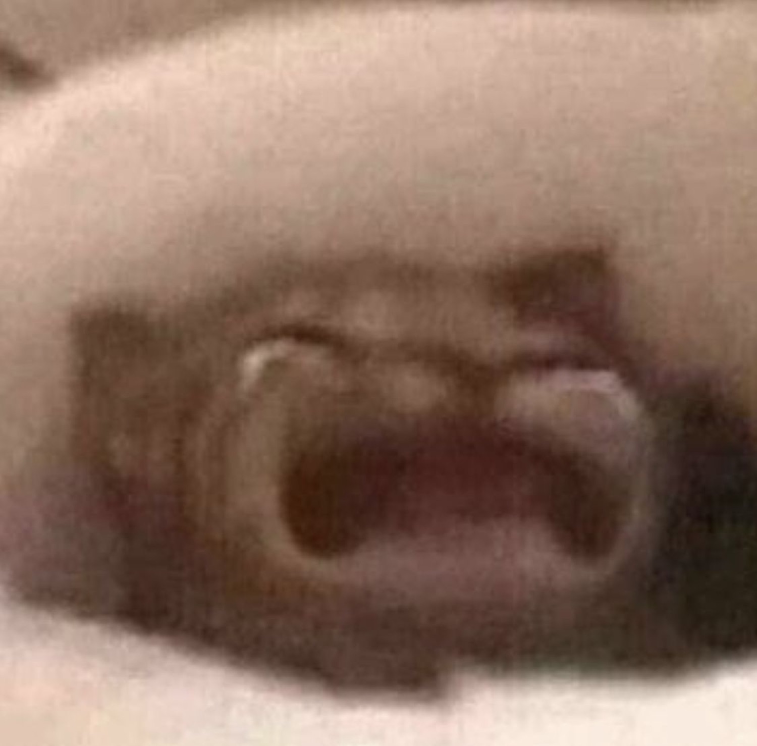 Blurry extreme close-up of a cat's mouth wide open mid-laugh