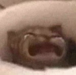 Blurry extreme close-up of a cat's mouth wide open mid-laugh