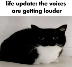 Tuxedo cat loafed up with a dead stare, captioned 'the voices are getting louder'
