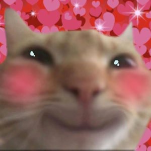 Blushing orange cat giving a smitten smirk against a pink heart background