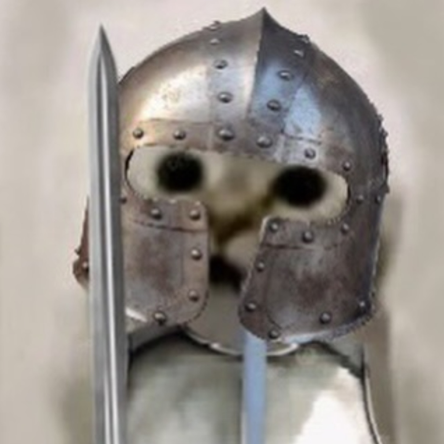 Cat face peering out of a riveted steel knight helmet