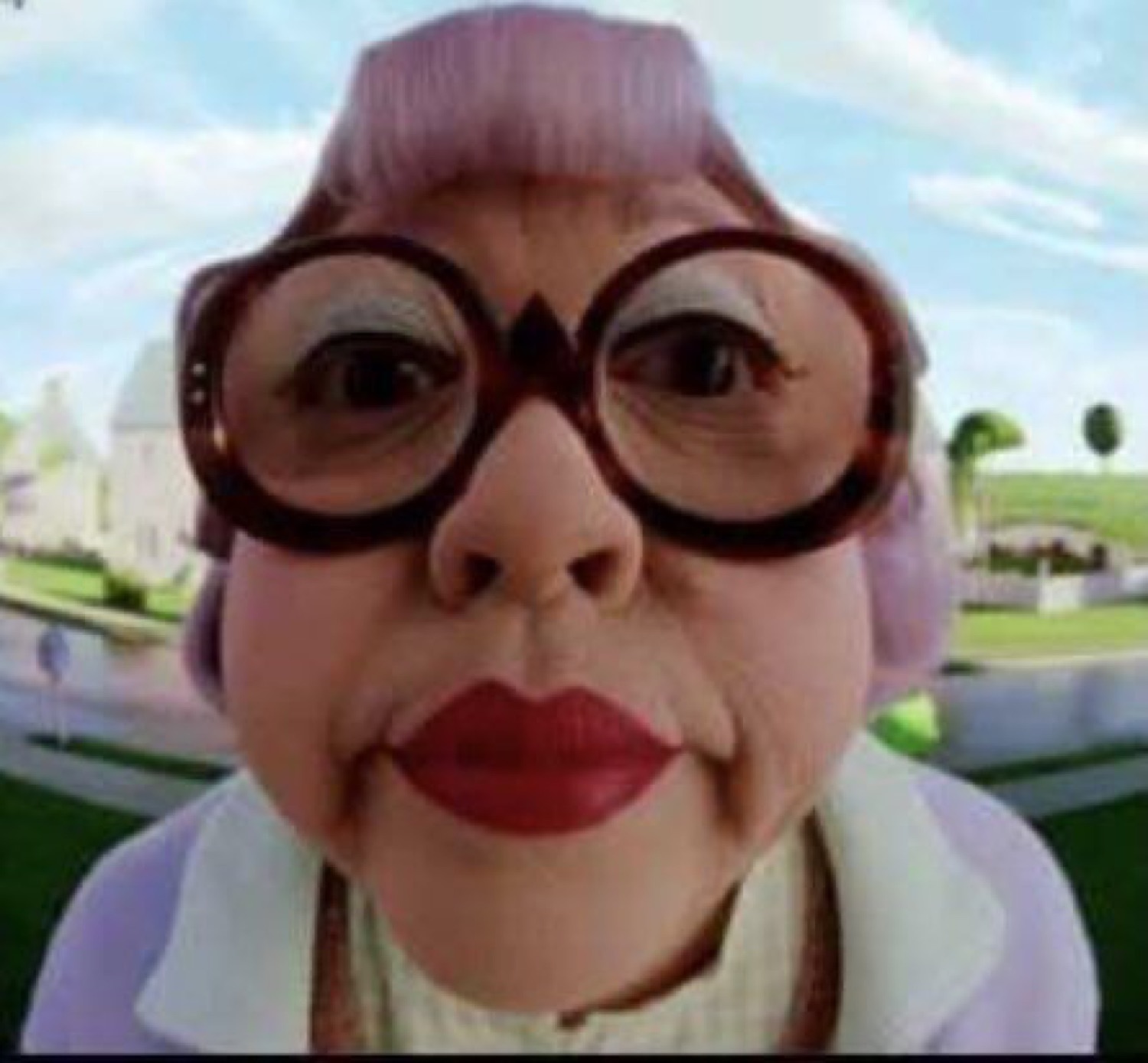 Older woman in huge round glasses and red lipstick pressing her face toward the camera