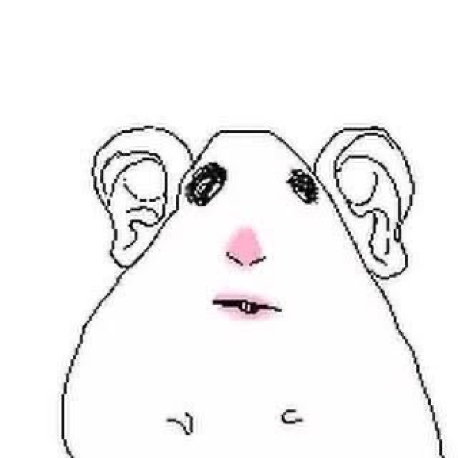 Minimalist hamster drawing staring blankly with tiny beady eyes