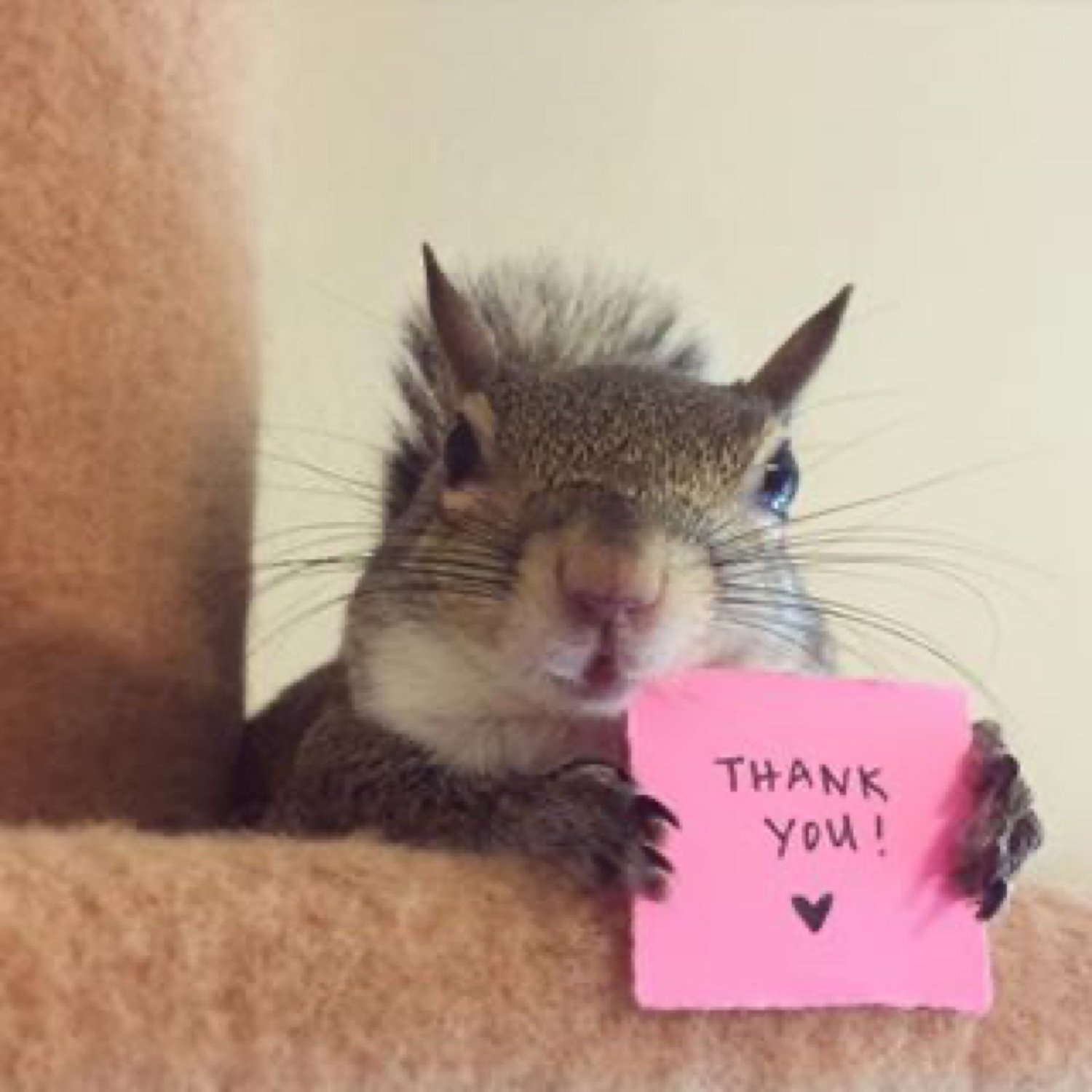 Squirrel holding a pink note: 'THANK YOU!'