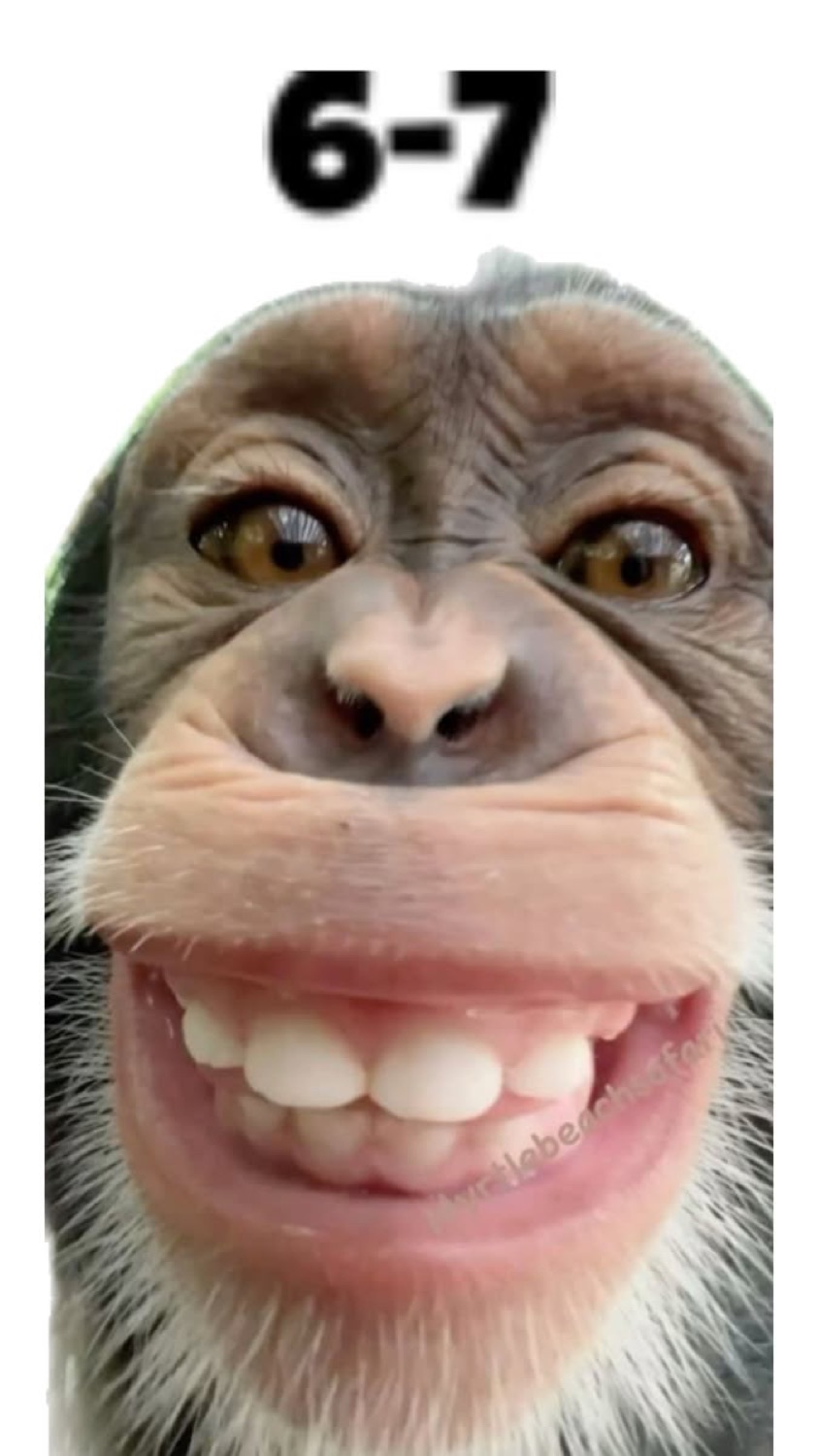 Chimp with a huge toothy grin under '6-7'