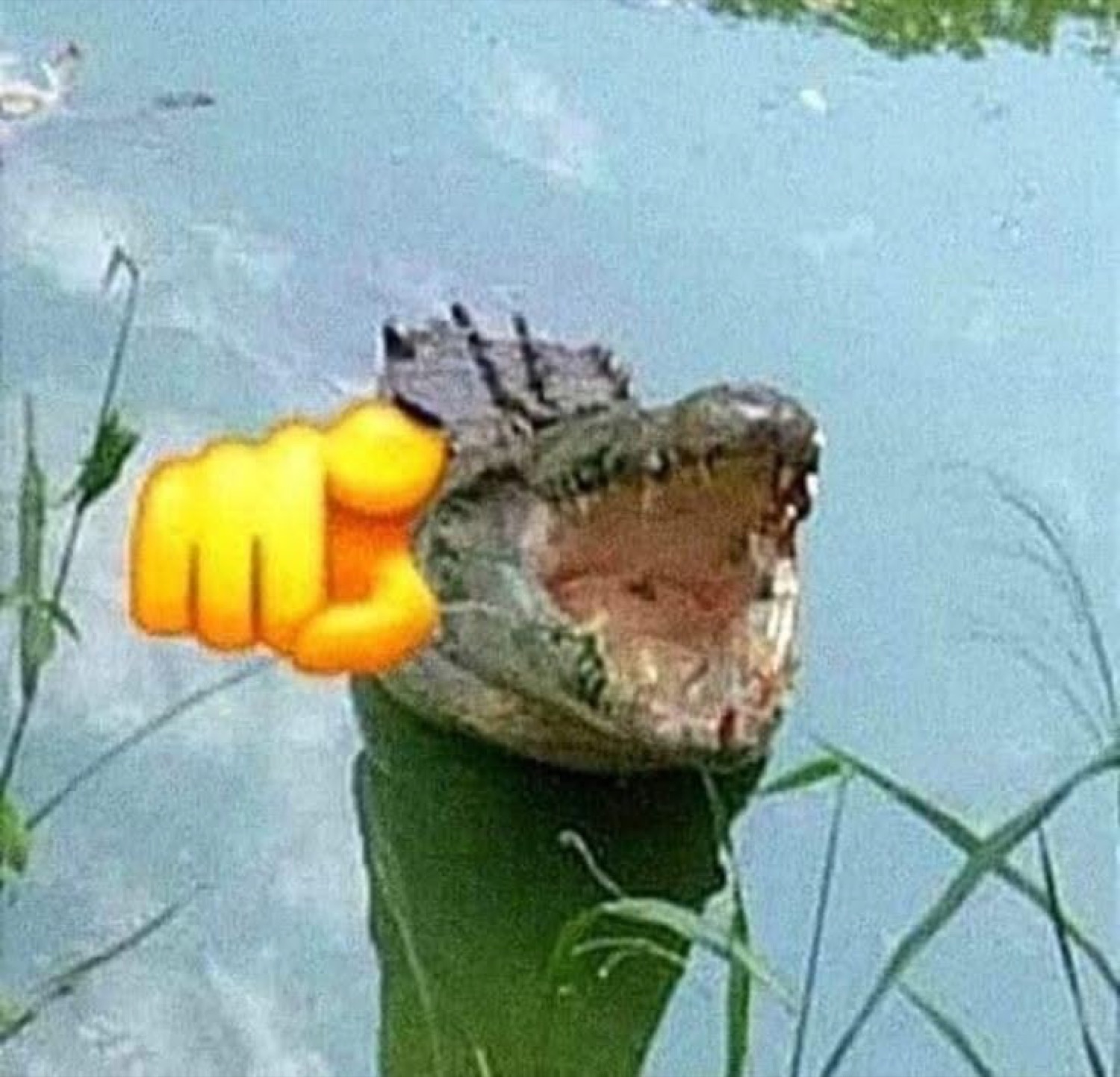 Alligator with its mouth open getting punched by a fist emoji