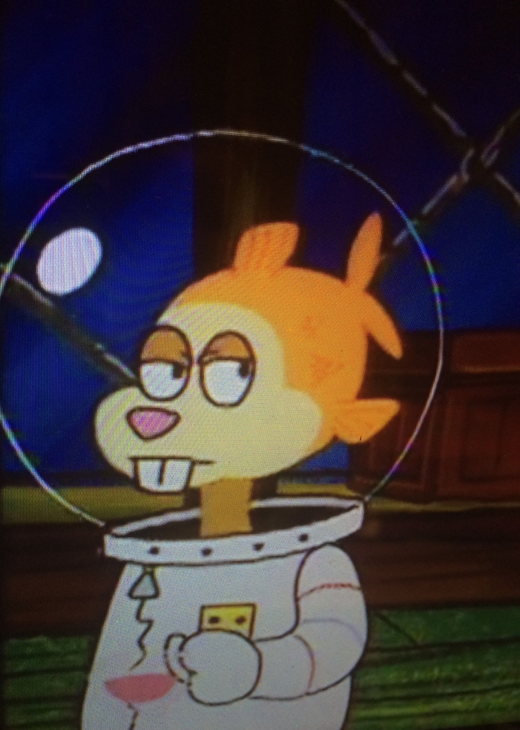 Sandy Cheeks in her space helmet giving a heavy-lidded, unimpressed look