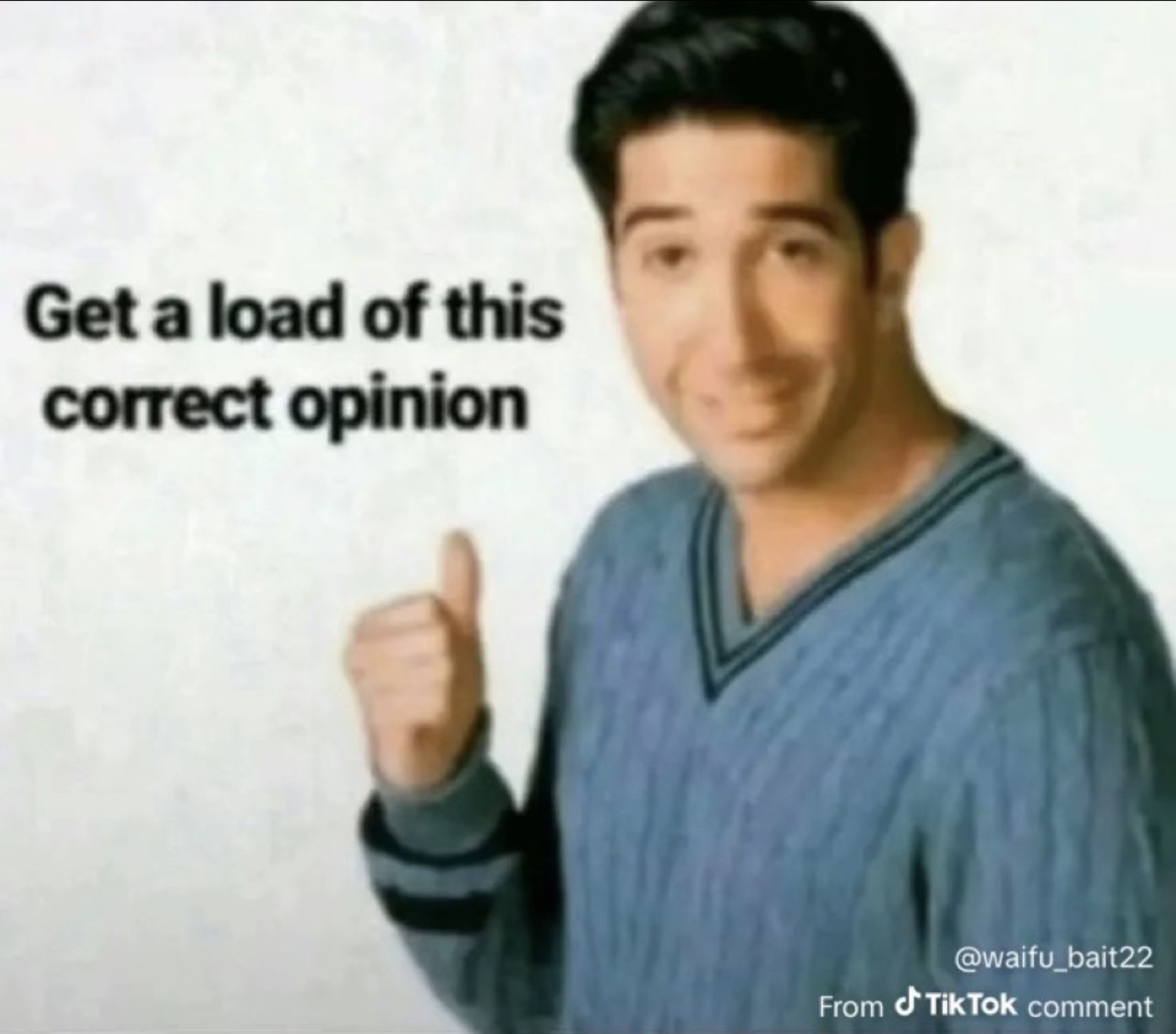 Ross from Friends giving a thumbs up: 'Get a load of this correct opinion'