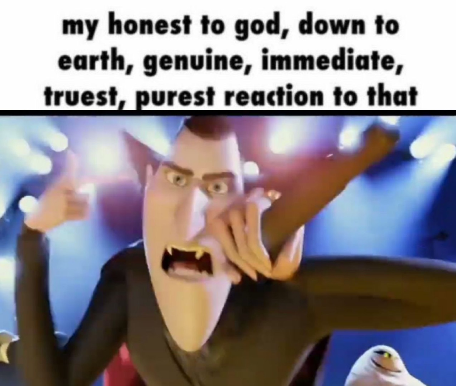 'my honest to god, down to earth, genuine, immediate, truest, purest reaction to that' over a screaming Dracula