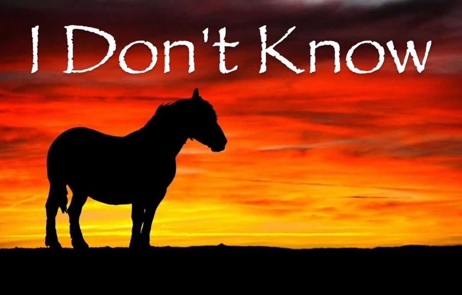 Horse silhouette against a fiery sunset captioned 'I Don't Know'