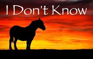 Horse silhouette against a fiery sunset captioned 'I Don't Know'
