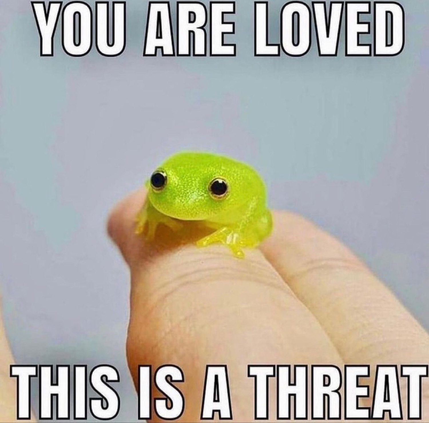 Tiny frog on a fingertip declaring its love — as a threat
