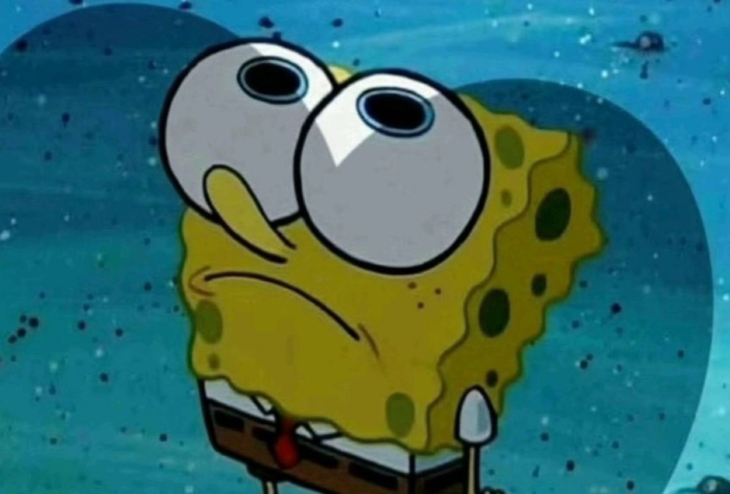 SpongeBob with enormous wobbling eyes looking confused and deeply stressed