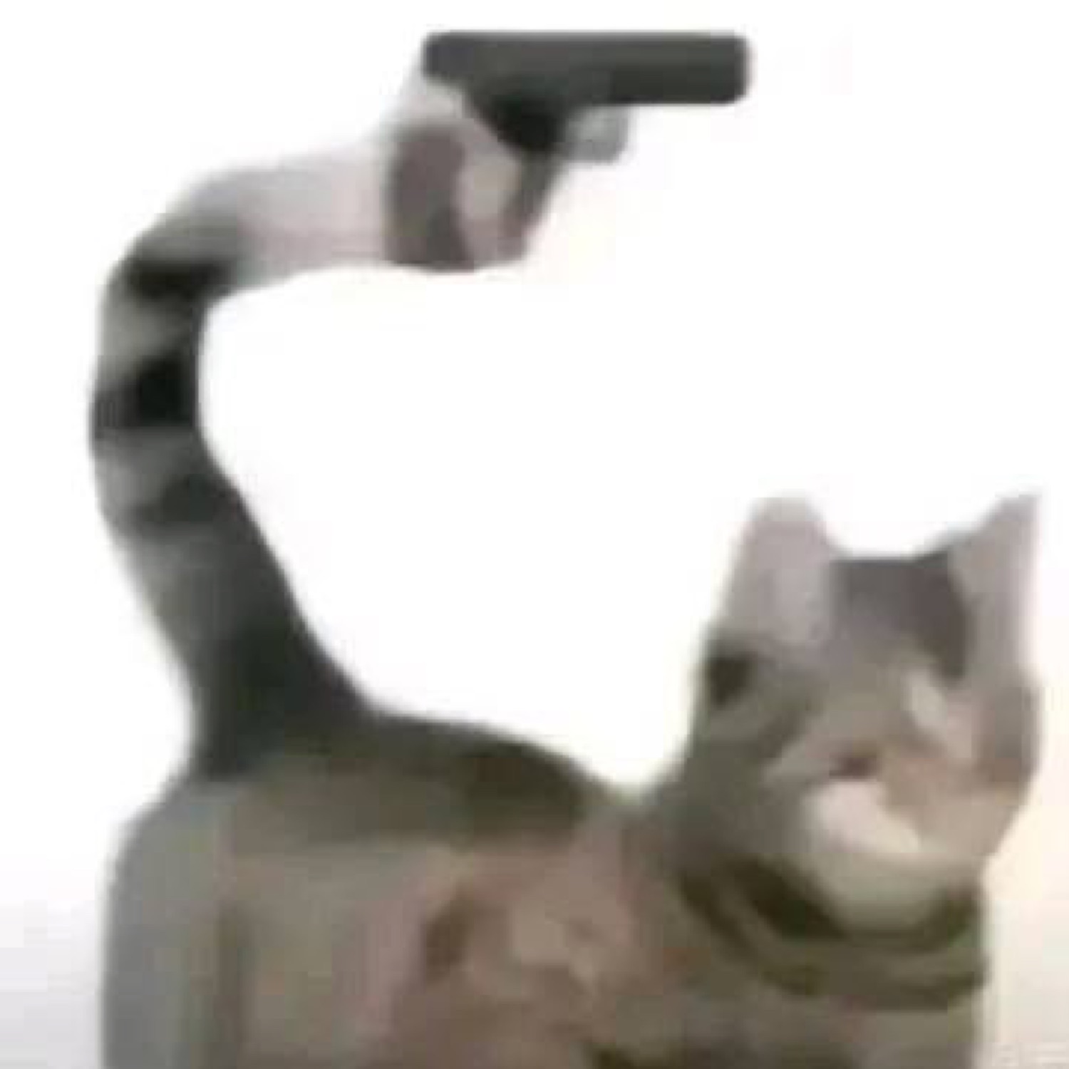 Grey tabby cat standing upright holding a gun overhead in the iconic 'cat with a gun' pose