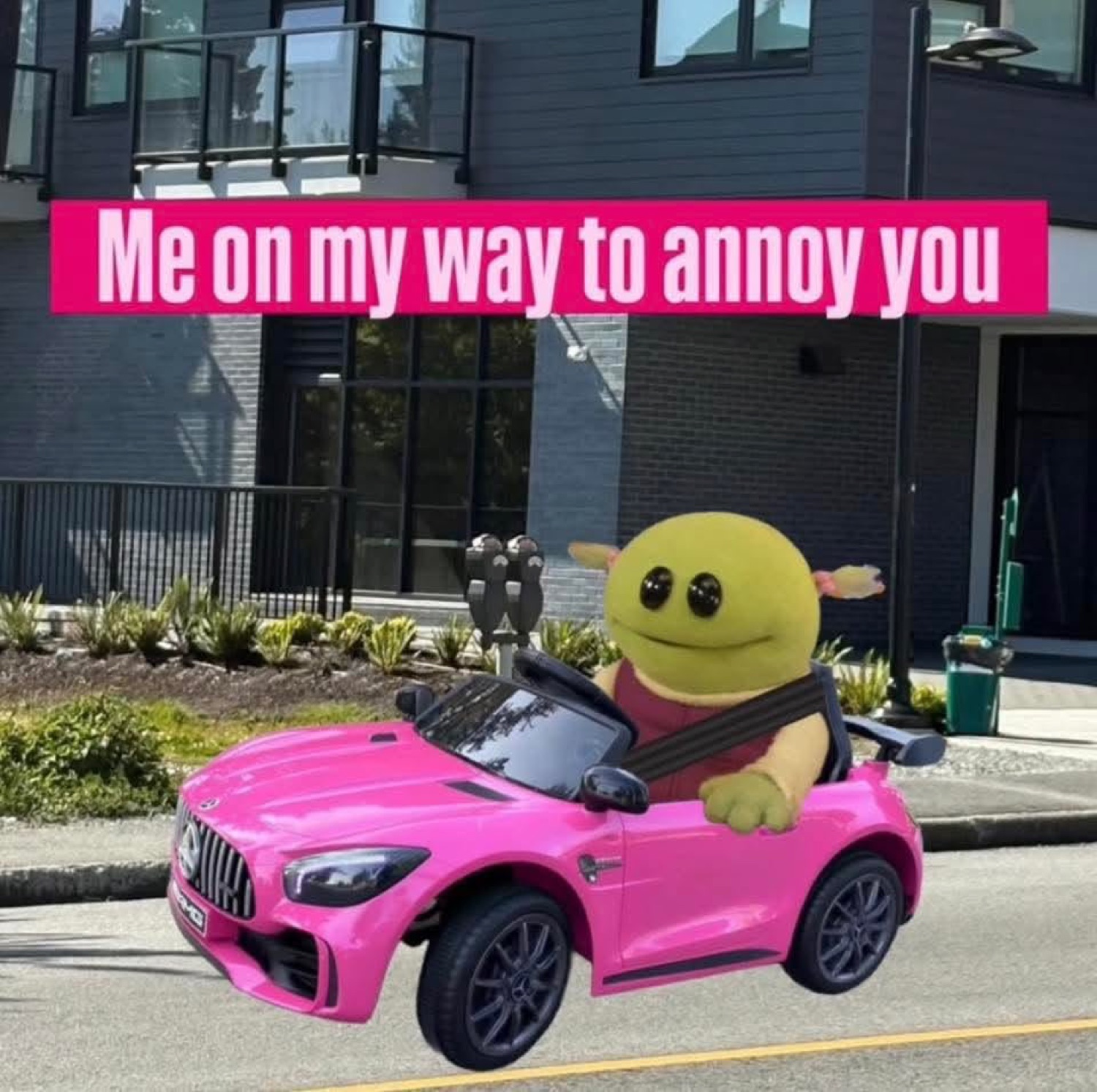 Smiling plush in a pink toy car: 'Me on my way to annoy you'